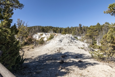 Mammoth Yellowstone NP 2024